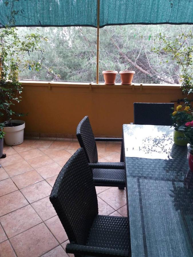 Apartman Lucica Zadar Exterior photo