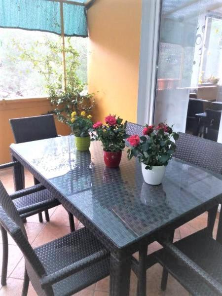 Apartman Lucica Zadar Exterior photo